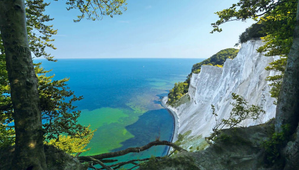 Møns Klint, Island of Møn, Zealand, Denmark